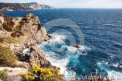 View of surging sea among cliffs with flowers Stock Photo