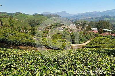 View of tea plantation valley in Munnar Stock Photo