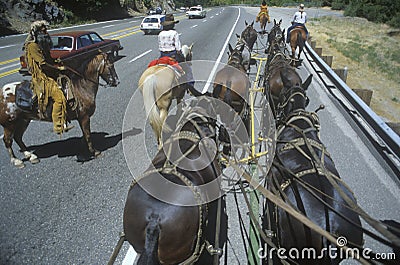 View of team of horses in wagon train Editorial Stock Photo