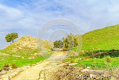 View of the Tel Megiddo National Park Stock Photo