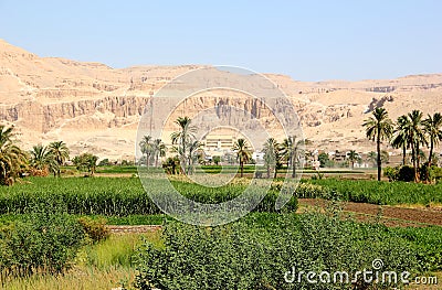 View on the Temple of Hatshepsut. Stock Photo