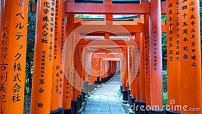 view through the thousands gates Senbon torii red repetitive gates to the mountain Stock Photo