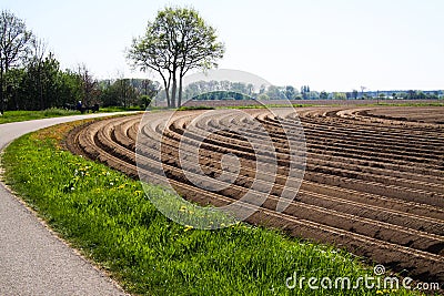 View on tilled plowed cropland with symmetrical curved furrows along cycling track in Netherlands near Roermond Stock Photo