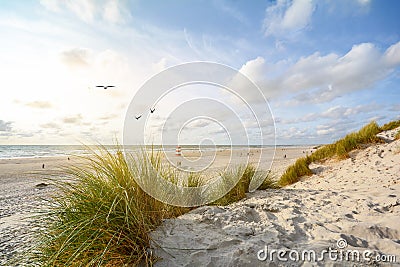 View to beautiful landscape with beach and sand dunes near Henne Strand, North sea coast landscape Jutland Denmark Stock Photo