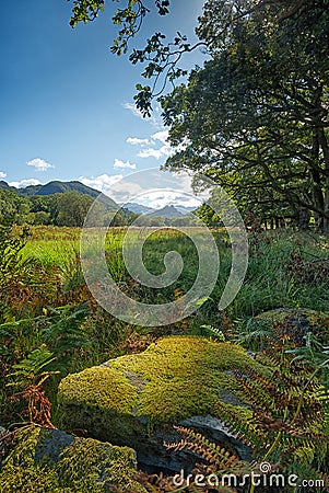 View to Castle Crag, lake District, Cumbria. Stock Photo