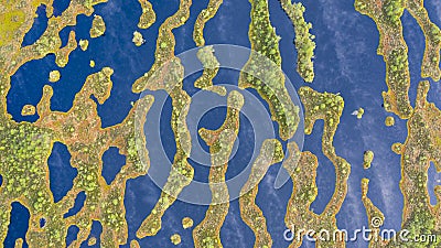 View to the complex pattern of peat bog pools and intermediate ridges Stock Photo