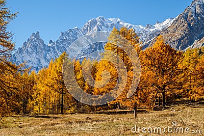 View to the mont blanc autumn. Italy Coumayeur Ferret valley Stock Photo