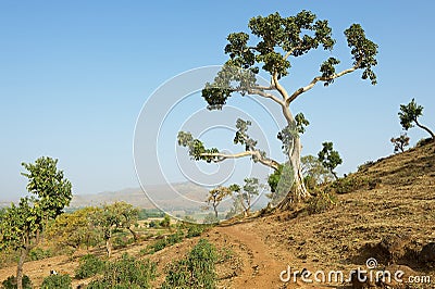 View to the mountain trail in Bahir Dar, Ethiopia. Stock Photo