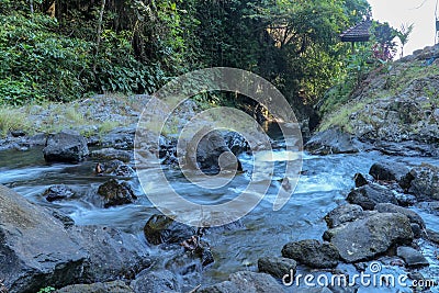 View to scenic mountain river with rapid and noisey stream of turquoise-blue water and growing trees on rocks in natural in Bali. Stock Photo