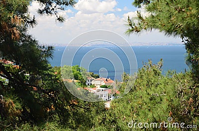 View to the sea of Marmura from the Pine forest. Focus on the sea. The Prince Islands, Turkey. Stock Photo