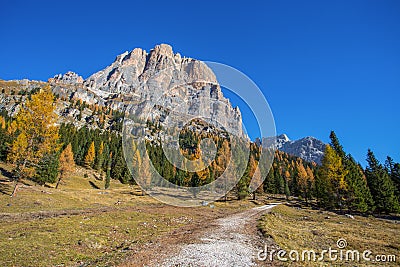 View of Tofane mountains on the background seen from Falzarego pass in an autumn landscape in Dolomites, Italy. Mountains, fir tre Stock Photo
