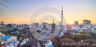 View of Tokyo skyline at twilight Editorial Stock Photo