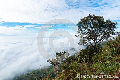 The view on the top of Phu Thap Boek Mountain overlooking the beautiful morning mist Stock Photo