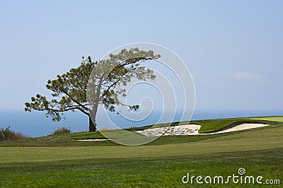 View from Torrey Pines Golf Course Stock Photo