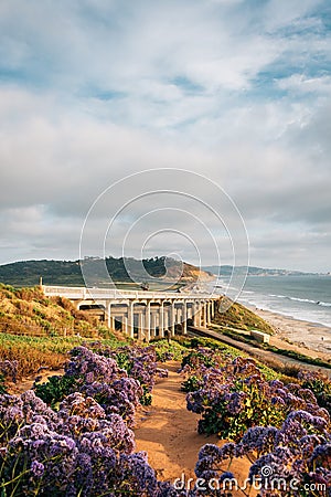 View of Torrey Pines Road and the Pacific Ocean in Del Mar, San Diego County, California Stock Photo