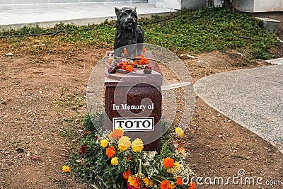 Toto tombstone Editorial Stock Photo