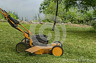 View toward mowing machine cutting the grass in a park, residential district Drujba Stock Photo