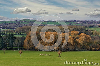 Almscliffe Crag on the Horizon in North Yorkshire, UK, with a Valley and Herd of Deer in the Foreground. Stock Photo