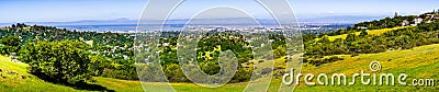 View towards Redwood City and Menlo Park; hills and valleys covered in green grass and wildflowers visible in the foreground, Stock Photo