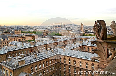 The View from the tower of Notre Dame de Paris Stock Photo