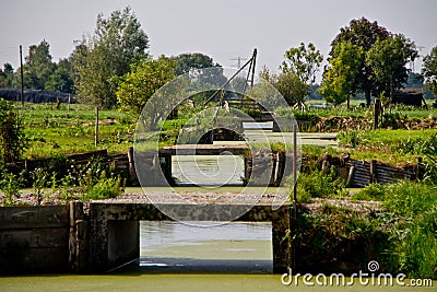 View on tree bridges over a ditch. Stock Photo