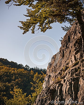 View on tree on the top of rock and the forest in Vsetin, Czech Republic Editorial Stock Photo