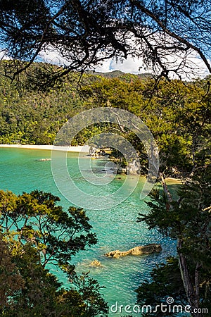 A view through the trees of an inlet and beach at the incredibly beautiful Able Tasman National Park, South Island, New Zealand Stock Photo