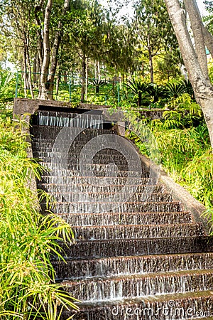view of tropical Madeira Monte Palace garden in Funchal in its japanese and upper waterfall part during a sunny day in february Stock Photo