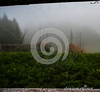 View trough the cobweb Stock Photo