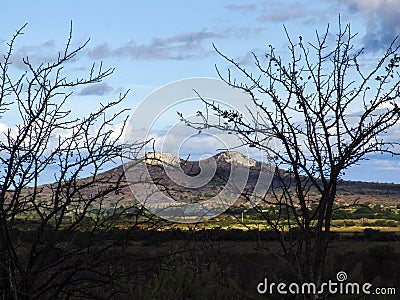 View of twin hill adn semiarid vegetation Editorial Stock Photo