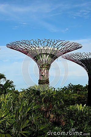 View of two artificial Supertrees at Gardens by the Bay Singapore Editorial Stock Photo