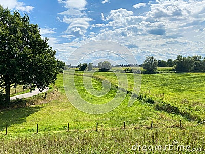 View on typical dutch rural flat landscape along river Maas with cycling track near Nijmegen, Netherlands Stock Photo