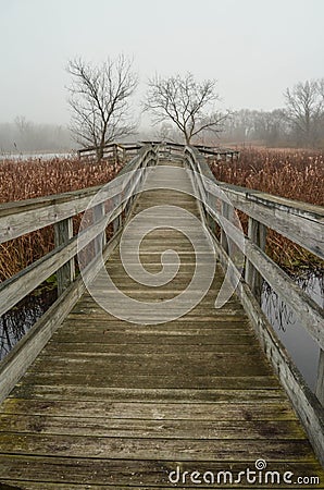 Winter Fog on Pierce Lake Observation Deck Stock Photo