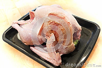 View of a utility turkey with its breast skin damaged Stock Photo