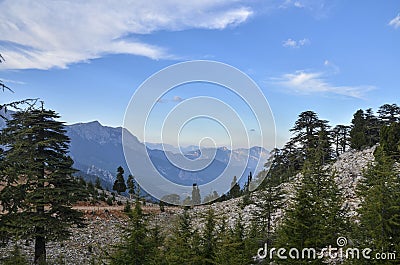 View of the valley with Lebanese cedars and Taurus mountains near Tahtali mountain. Hiking on Lycian Way Stock Photo