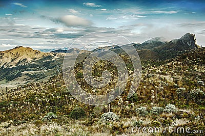 View of the valley in Nevado del Ruiz, Cordillera, Colombia, beautiful world,scenic view on volcano with cloudy sky, majestic dawn Stock Photo