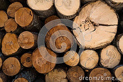 View of the various ends of the logs in the stack Stock Photo
