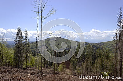 View from velky javornik to landscape 14 Stock Photo