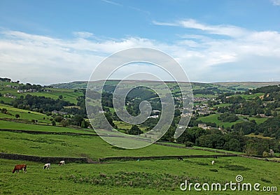 View of the village of cragg vale in the calder valley surrounded by trees and fields Stock Photo