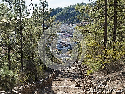 View of village Vilaflor de Chasna from dirt road at lush green pine tree forest , hiking trail to Paisaje Lunar Stock Photo