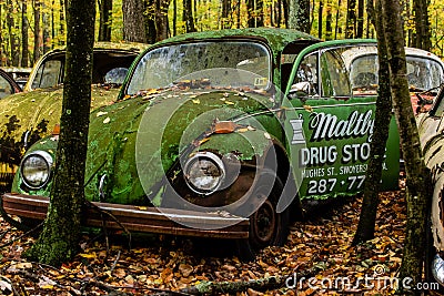 Vintage VW Beetle - Volkswagen Type I - Pennsylvania Junkyard Editorial Stock Photo