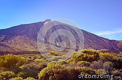 View of volcano El Teide is the highest point above sea level in the islands of the Atlantic.Mount Teide in spring. Stock Photo