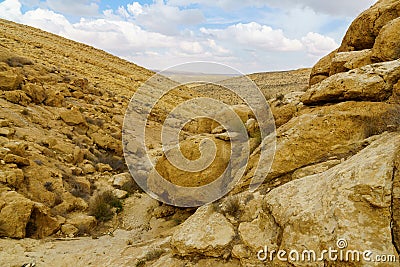 Wadi desert valley landscape in Yeruham ridge, the Negev Desert Stock Photo
