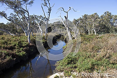 View from the walk path along the Leschenault Estuary Bunbury Western Australia . Stock Photo