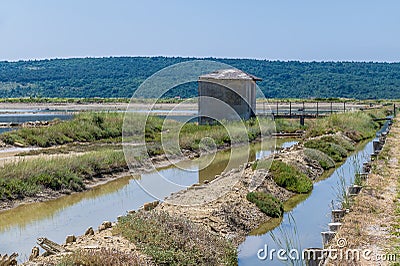 A view of water channels feeding crystallisation pools at the salt pans at Secovlje, near to Piran, Slovenia Stock Photo