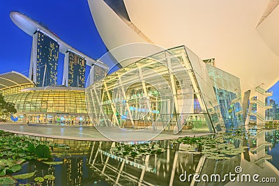 View of water lilies under ArtScience Museum and Singapore skyscrapers in the background Stock Photo