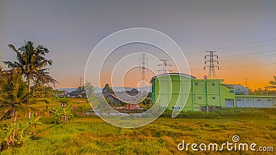 View of weeds at sunset somewhere in Indonesia Stock Photo