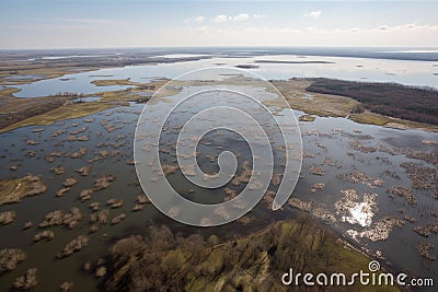 view of wetlands and marshes from above, with flock of birds in flight Stock Photo