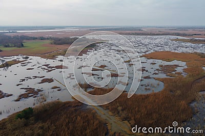 view of wetlands and marshes from above, with flock of birds in flight Stock Photo