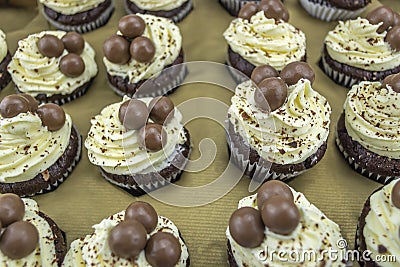 View of white and black cupcakes Stock Photo